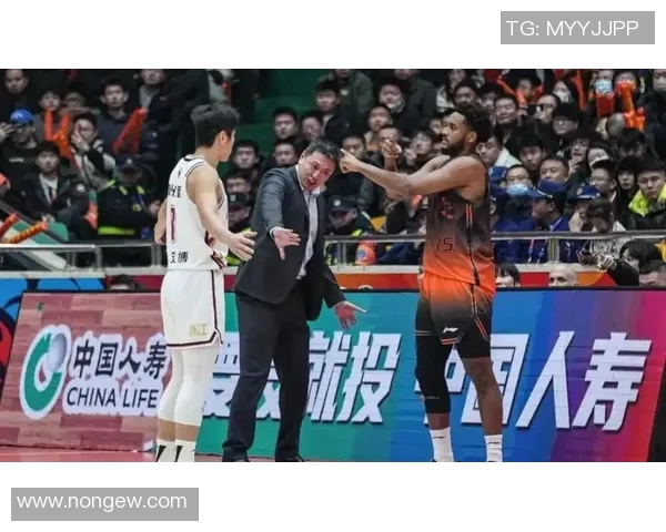 辽宁与浙江激战四分之一决赛谁能晋级半决赛的巅峰对决